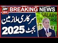 Government Employees Budget 2025 26 PM Shehbaz Govt Budget 2025