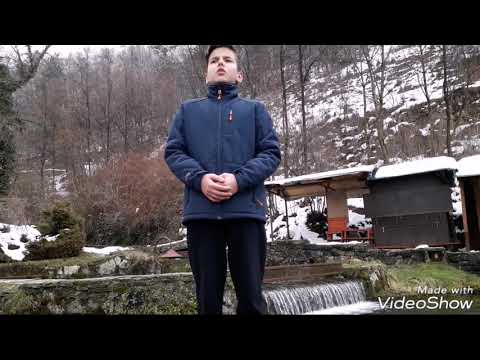 Dawud Pjanić-ptica džennetska-Travnik