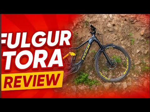 Fulgur Tora Review