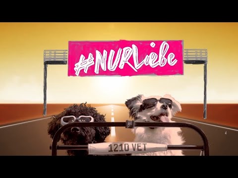 Medimeisterschaften 2022 Vet Med Uni Wien - Dogpics mit SFU Wien