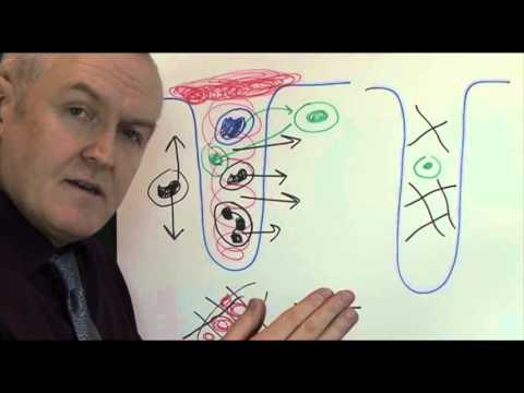 Physiology of wound healing