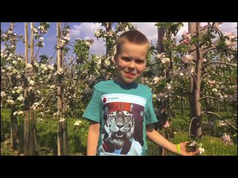 Bloesemtocht De Haarse Gaard vanaf 24 april