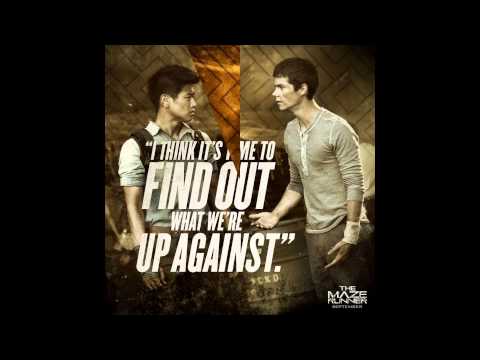 Maze Runner Quotes