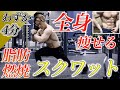 全身の脂肪を燃焼させる究極のスクワット&腹筋プログラム!本当にキツい4分間