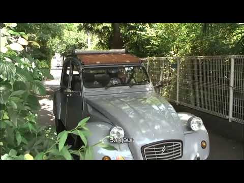 Never-Ending Man : Hayao Miyazaki - Pastille "Hayao et sa 2 CV" - Au cinéma le 2 janvier