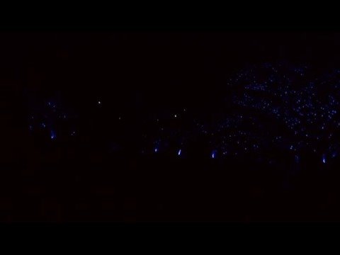 SUJU 1st PREMIUM EVENT JAPAN 10 [Full]