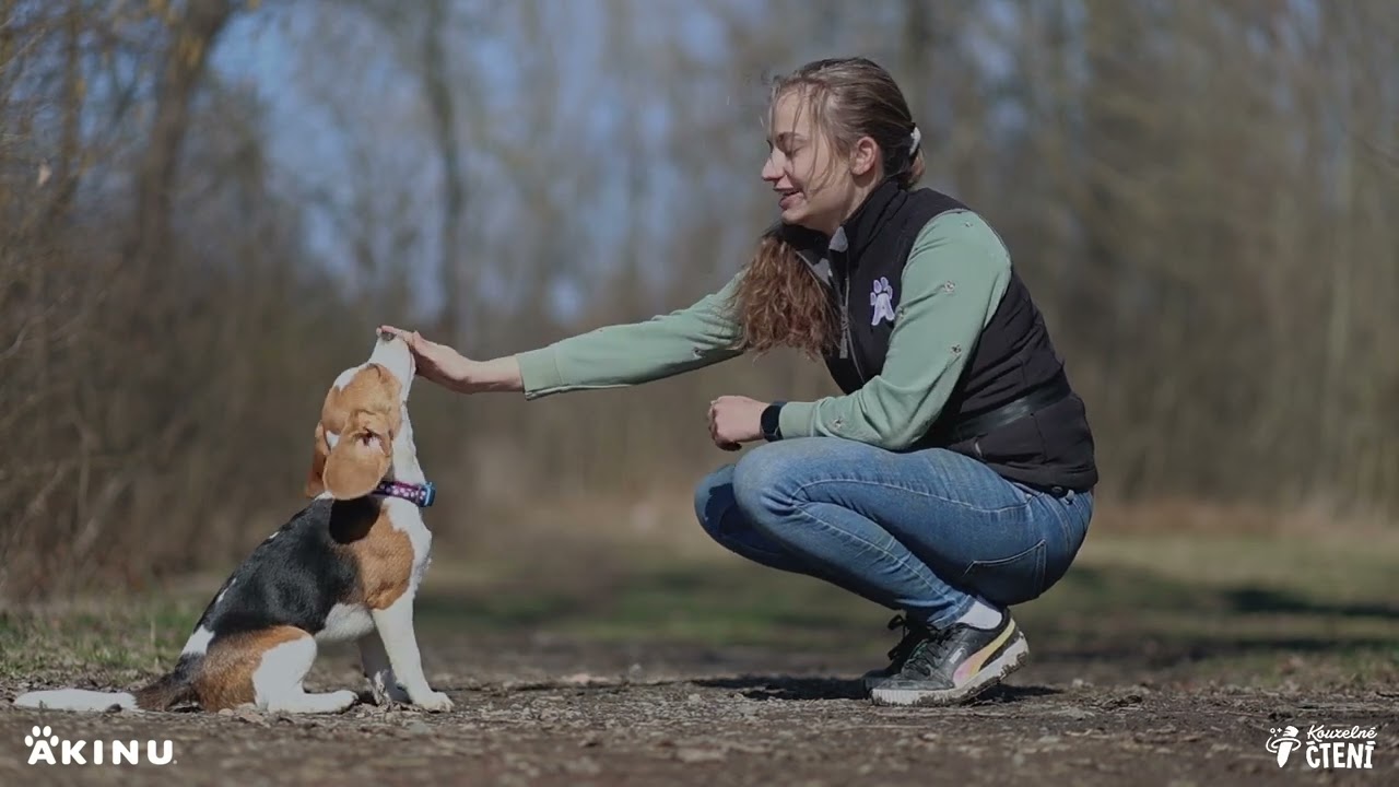 Máme doma mazlíčka - sedni