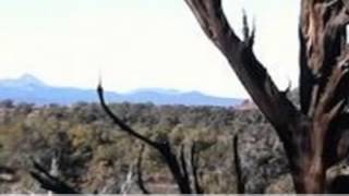 preview picture of video '164 Off Rocky Road, Ash Fork, AZ 86320'