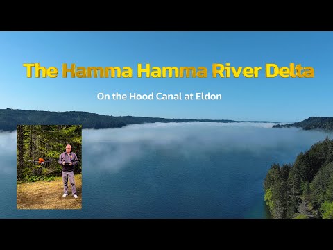 Hamma Hamma Delta on the Hood Canal