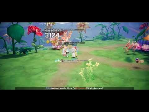 Damage Test with my level 80 Malangdo Bow ( Mistress ) - Legacy ROO