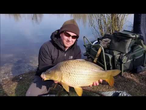 Im Frühling Feedern #feederfishing #fishing #methodfeeder 