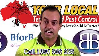 Your Local Termite and Pest Control at Logan B4B