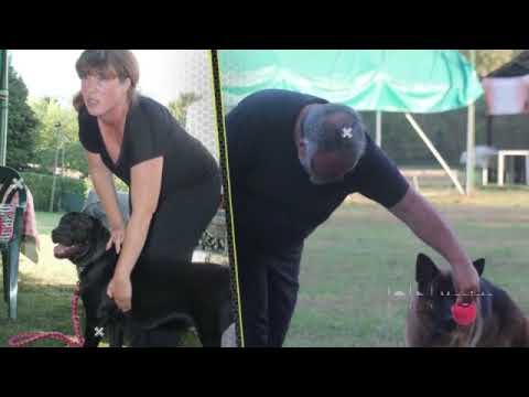 STAGE con Luca Spennacchio e Samantha Danieli - 28/29 Settembre 2019