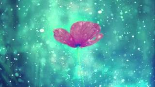 Honestly by Bethany Joy Lenz (cover)