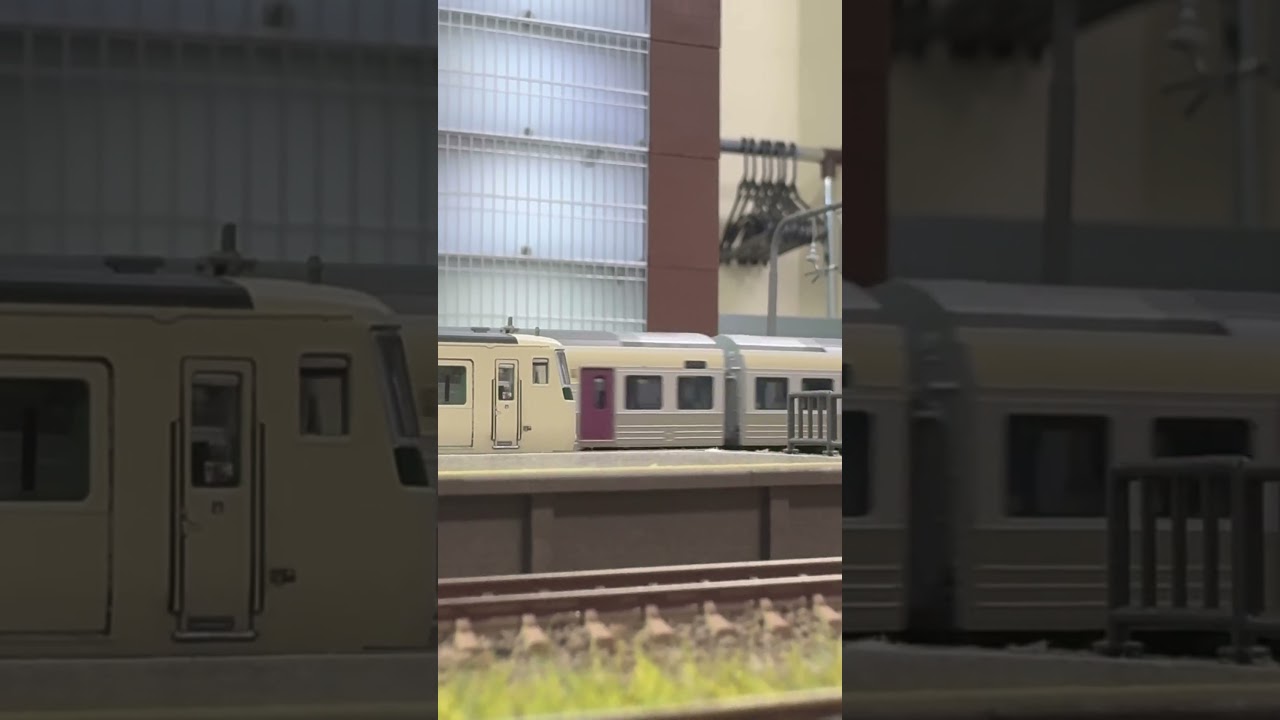 DDL 215系 先輩を抜くオール二階建ての後輩 #train #鉄道 #nゲージ #鉄道模型 #おはようライナー #湘南ライナー #215系 #185系 #re_color