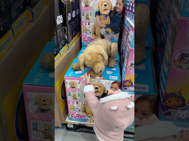 Vídeo relacionado con Wild Republic Cuddlekins Mula, Animales de Peluche, 30 cm, Regalo Recién Nacido, Peluches para Niños, Juguete de Peluche, Peluches para Niñas, Relleno Elaborado con Botellas Recicladas