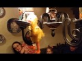 Big Bird