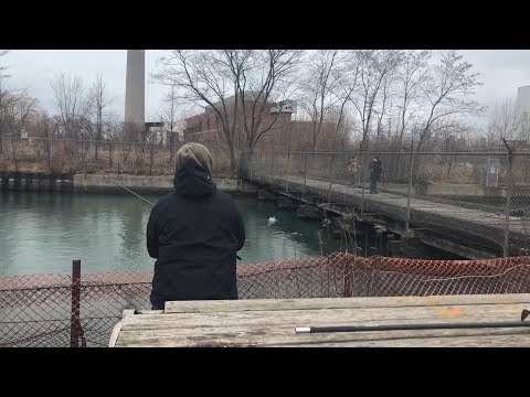 Winter Carp Fishing Canada