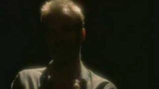 Video Sting - Fields Of Gold