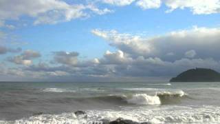 Wild Sea  Roberto Cacciapaglia