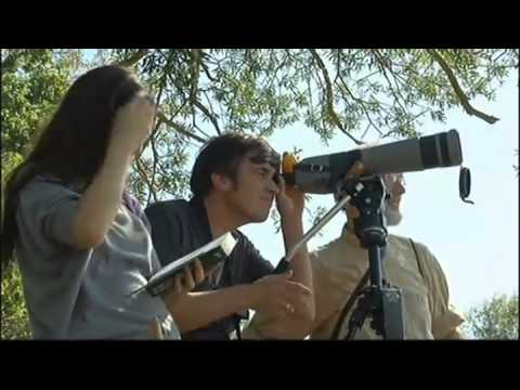 X:enius: Amateurforscher. Hilfreiche Experten oder Spinner?