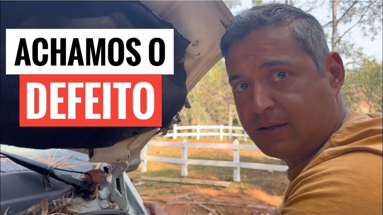 DIA DE MUITA CORRERIA NO SÍTIO. LEVAMOS OS CARROS PARA OFICINA