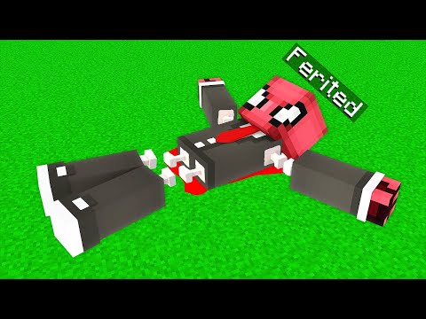 FERİTED'in KEMİĞİ KIRILDI 🦴 - Minecraft