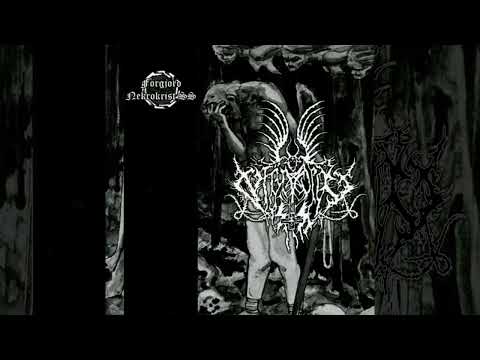 Förgjord & Nekrokrist SS - Split Album (2014) HD