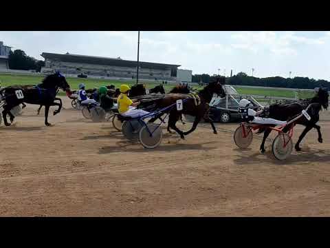Ügető verseny start - Trabrennenstart. Kincsem Park, Budapest