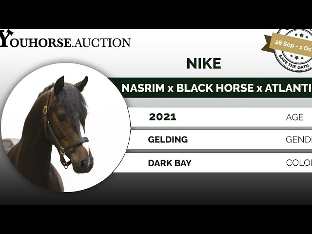 Nike under the saddle