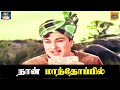 நான் மாந்தோப்பில் எங்க வீட்டு பிள்ளை