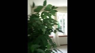 11 acre house part 1