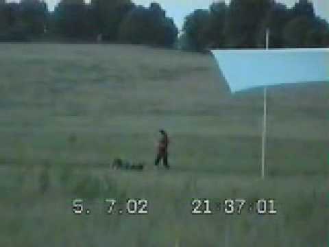 Moondalla_002 - Before