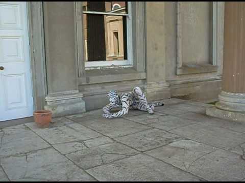 Humanimal presents the White Tiger - www.circusperformers.com