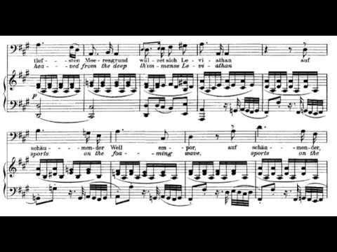 16 & 17.-  Most beautiful appear (The Creation - J. Haydn) Score Animation