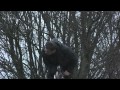 UTOPIA (NL) 2015 - Bjorn staat erbij en kijkt ernaar