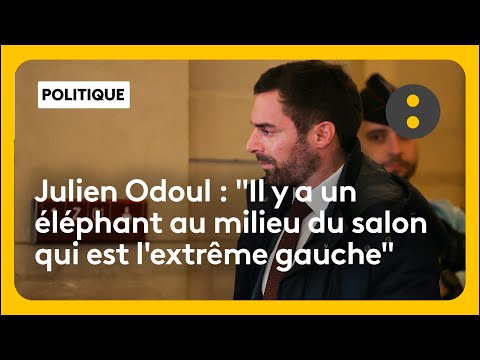 Julien Odoul est l'invité de "Tout est politique"