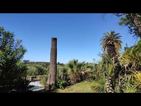 Des lieux d'installation d'une beauté rare ! 🍀😍