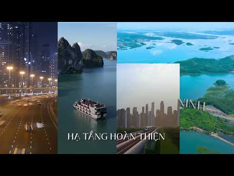 Video dự án 1