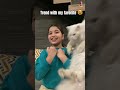 Trend With My Favorite Aayataarif Dailyvlog Funny Trendingshorts Reelsinstagram Reels Trending