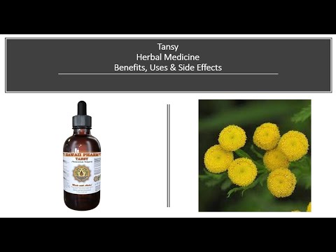 Tansy - Herbal Medicine -  Benefits, Uses & Side Effects