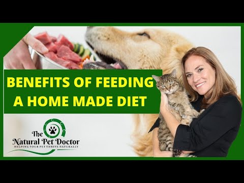 Benefits of a Home Made Diet for Your Dogs and Cats with Dr. Katie Woodley - The Natural Pet Doctor