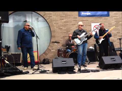 Joe Murphy & Water Street Blues Band - I Wouldn't Treat A Dog video