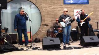 Joe Murphy & Water Street Blues Band - I Wouldn't Treat A Dog video