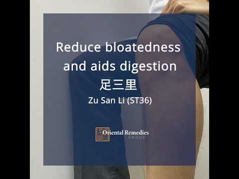 Acupoint ZuSanLi 足三里 (ST36) - Reduce bloating and aids digestion