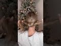 60 Second Low Bun Easy Hairstyle Lowbun Shorts Messybun