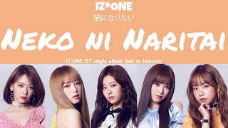 [LYRICS/가사] IZ*ONE (아이즈원) - 猫になりたい(Neko ni Naritai)