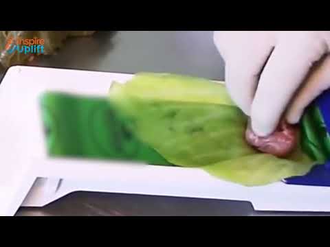 Vegetable & Meat Roller