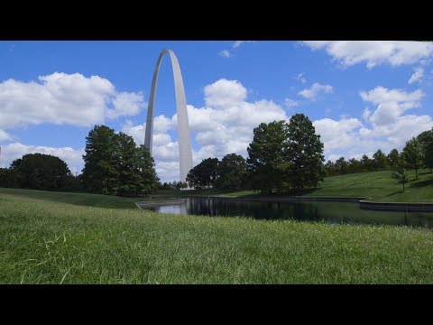 St Louis Wildlife Project | Washington University