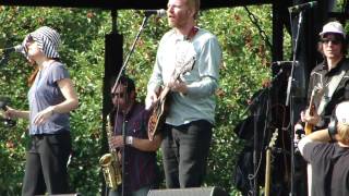 New Pornographers--The Laws Have Changed--Live @ Lollapalooza Chicago 2010-08-06